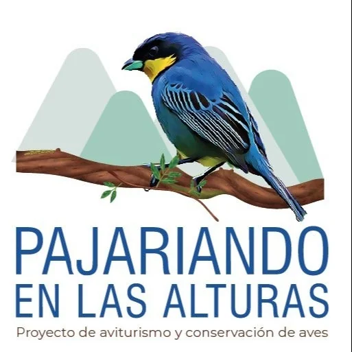 Gastronomía para Aves — aliado de Eco Hotel Palma Dorada